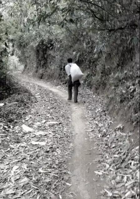 微信图片_20180607104510 微信图片_20180607104510