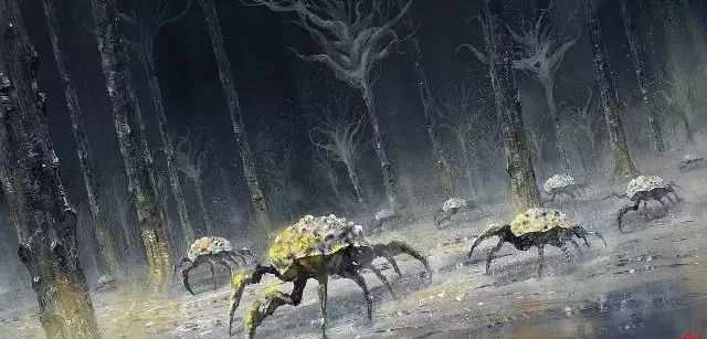14 - 640?wx_fmt=jpeg 14 - 640?wx_fmt=jpeg