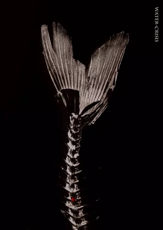 20190123_095835_013 20190123_095835_013